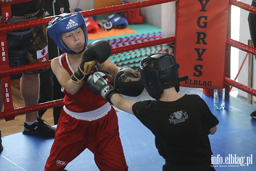 KSW Tygrys - Sparingi, fot. 73