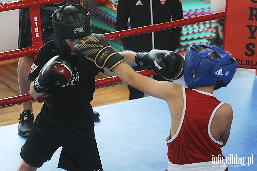 KSW Tygrys - Sparingi, fot. 74