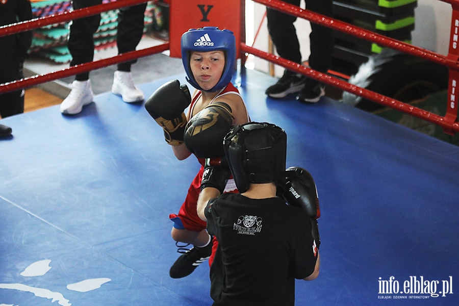 KSW Tygrys - Sparingi, fot. 75