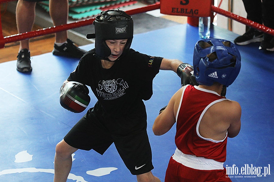 KSW Tygrys - Sparingi, fot. 78