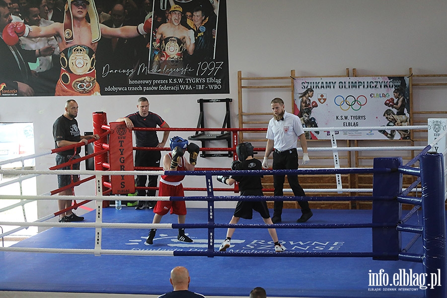 KSW Tygrys - Sparingi, fot. 79