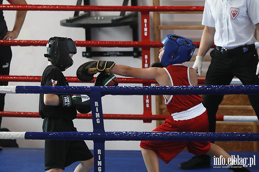 KSW Tygrys - Sparingi, fot. 80