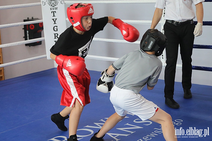 KSW Tygrys - Sparingi, fot. 83