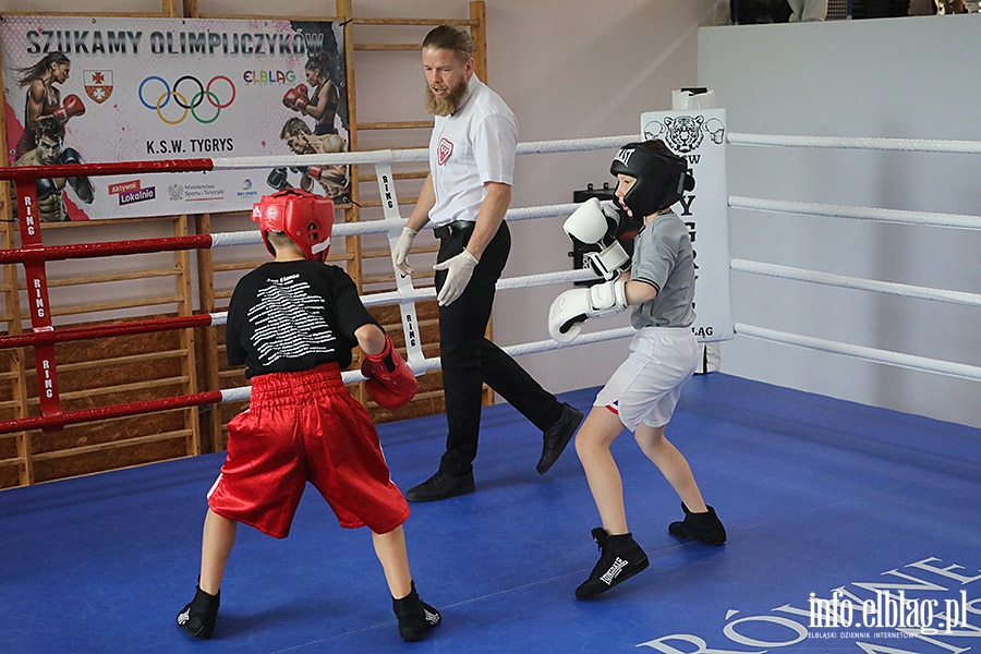 KSW Tygrys - Sparingi, fot. 84