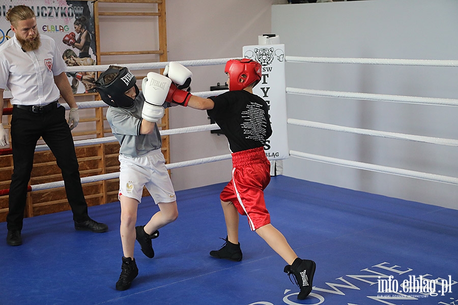 KSW Tygrys - Sparingi, fot. 85