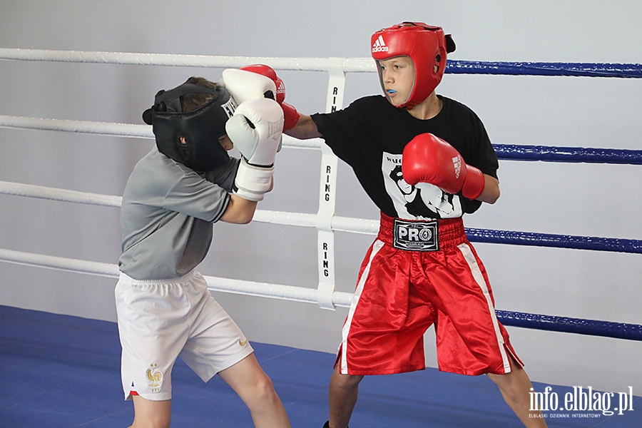 KSW Tygrys - Sparingi, fot. 86