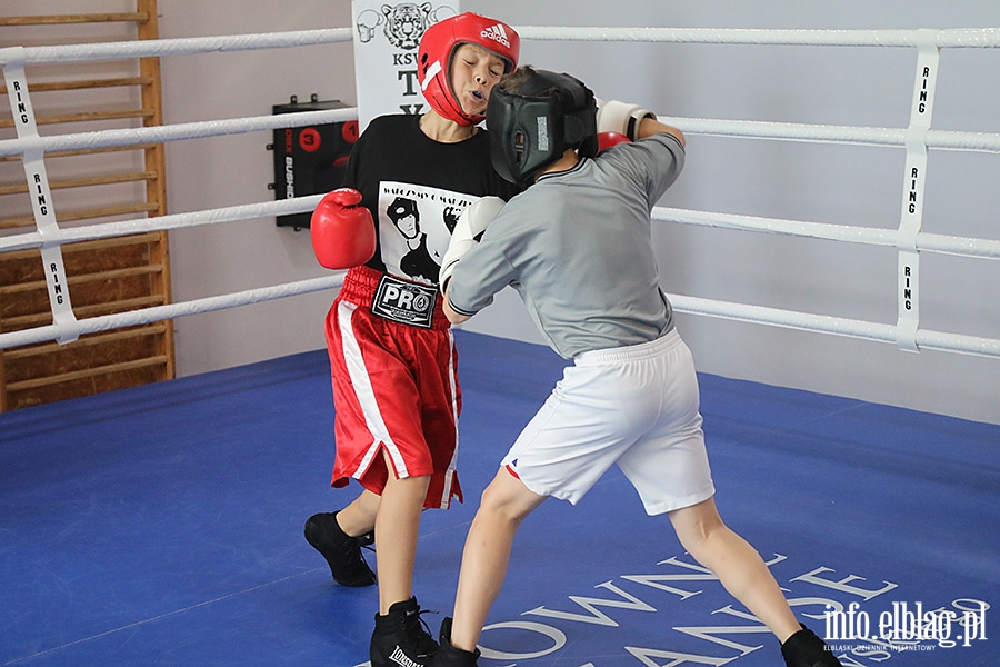 KSW Tygrys - Sparingi, fot. 87