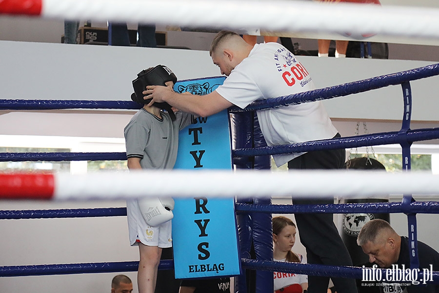 KSW Tygrys - Sparingi, fot. 90