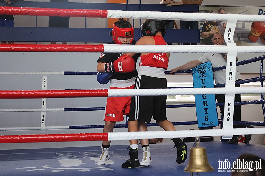 KSW Tygrys - Sparingi, fot. 96