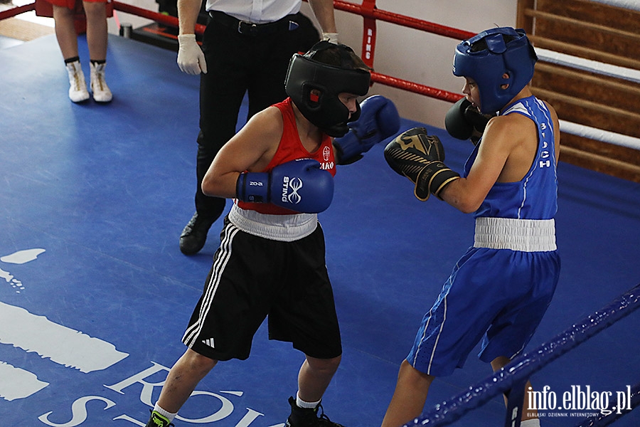 KSW Tygrys - Sparingi, fot. 99