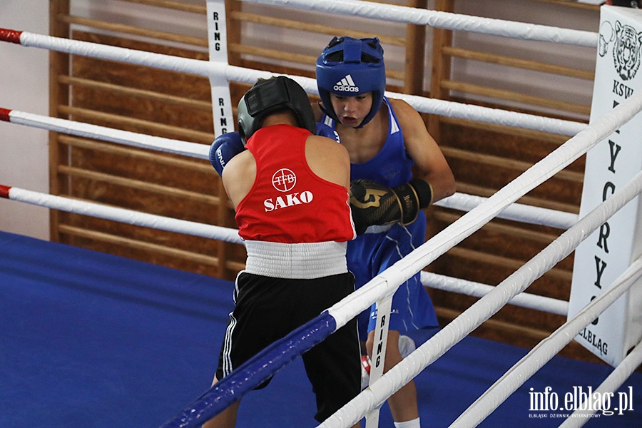 KSW Tygrys - Sparingi, fot. 100