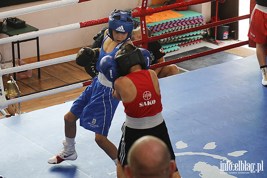 KSW Tygrys - Sparingi, fot. 101