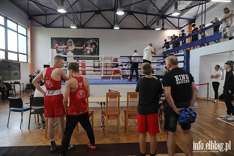 KSW Tygrys - Sparingi, fot. 104