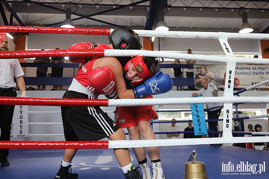 KSW Tygrys - Sparingi, fot. 106