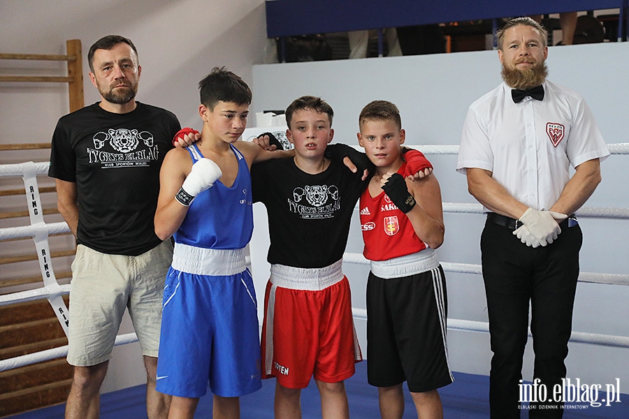 KSW Tygrys - Sparingi, fot. 107