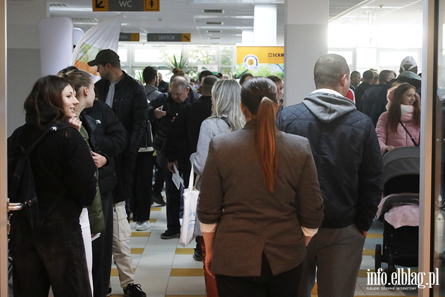 Elbl�skie Targi Pracy 2025, fot. 16