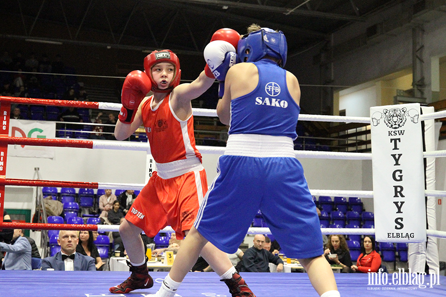 Miko�ajkowy Turniej Tygrysa 2025, fot. 78